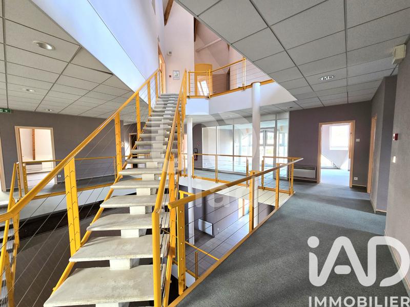 Immeuble - 1 239 m²