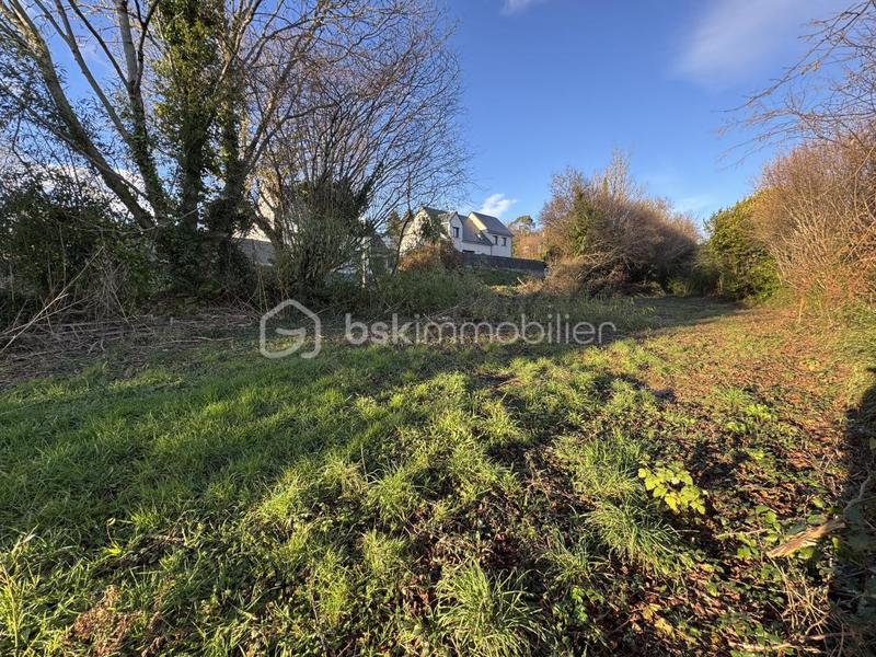 Terrain - 493 m²