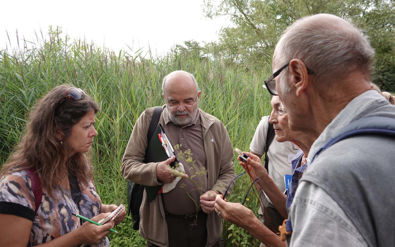 Rendez-vous nature : à la découverte de la nature