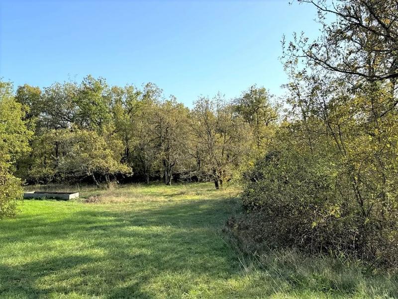 Propriété - 204 m² - 9 pièces