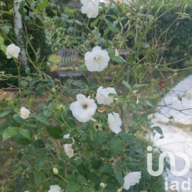 Maison - 89 m² - 4 pièces