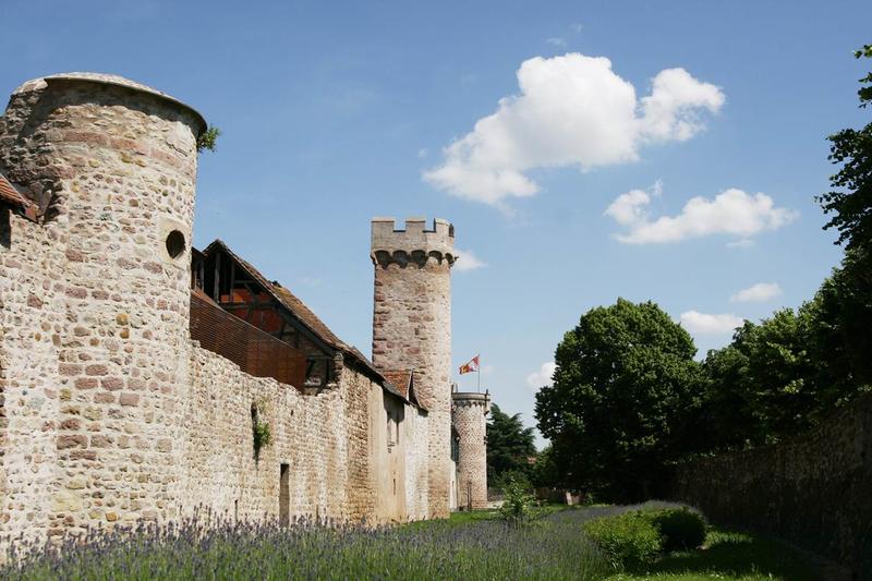Obernai version Vsop - ville - cave et produits du terroir