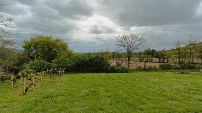 Terrain constructible - 8 700 m²