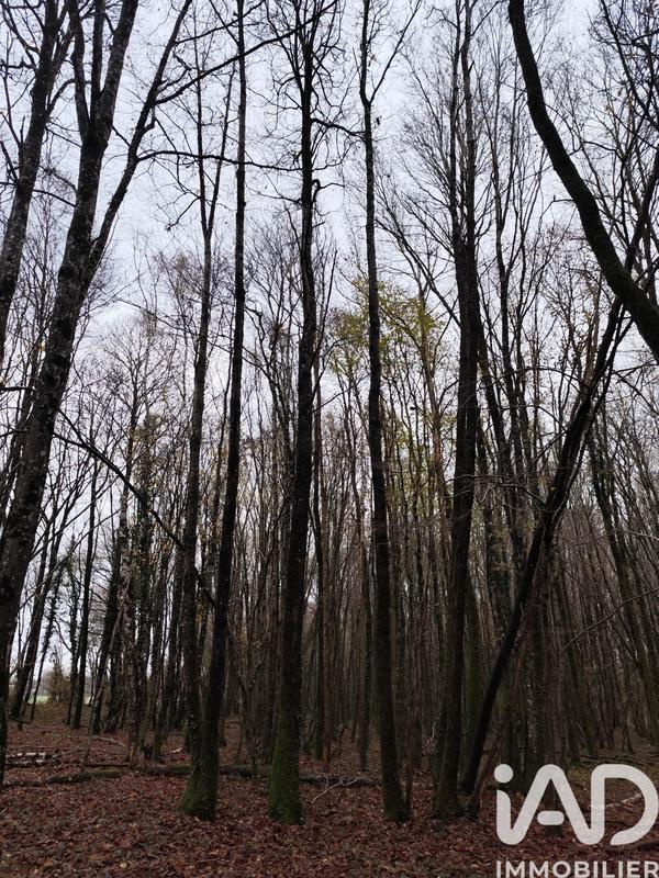 Terrain - 29 105 m²