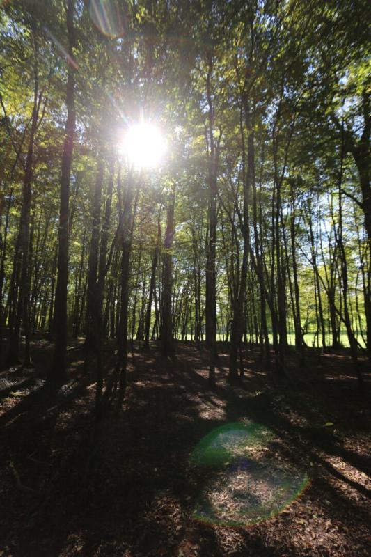 Maison - 190 m² - 6 pièces