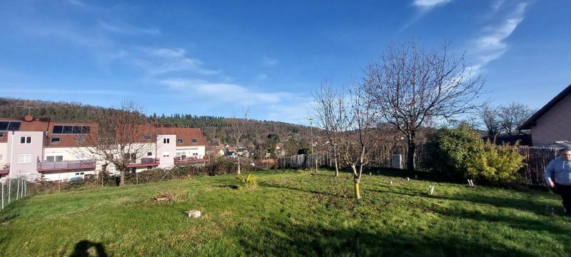 Terrain - 478 m²