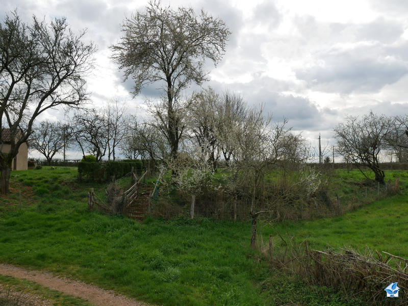 Maison ancienne - 97 m² - 5 pièces