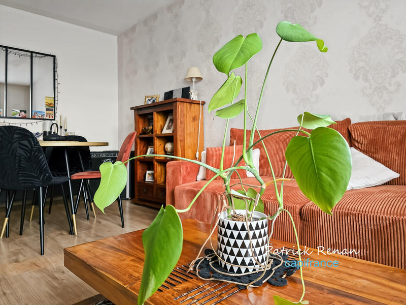 Appartement - 55 m² - 3 pièces