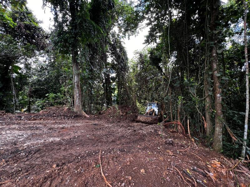 Terrain constructible - 3 882 m²