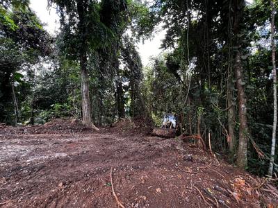 Terrain constructible - 3 882 m²