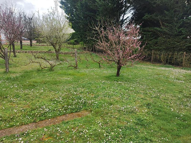 Terrain constructible - 634 m²