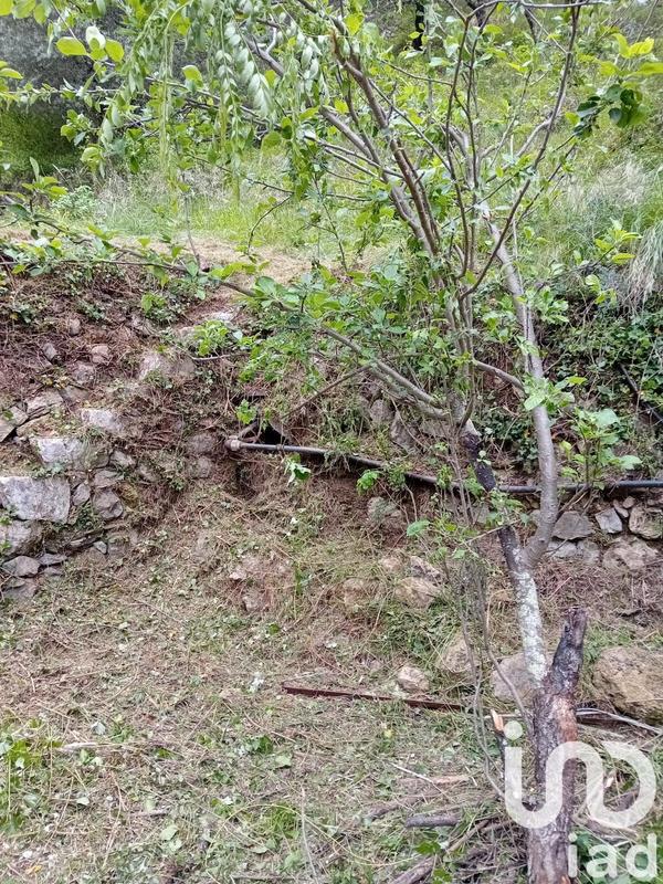 Terrain agricole - 9 300 m²