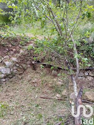 Terrain agricole - 9 300 m²