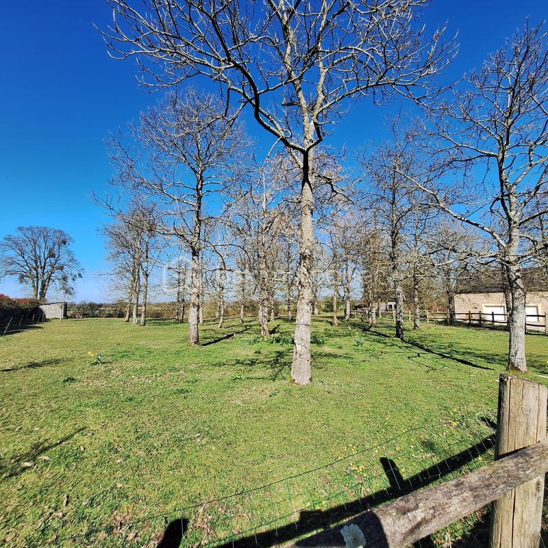 Maison en pierre - 159 m² - 6 pièces