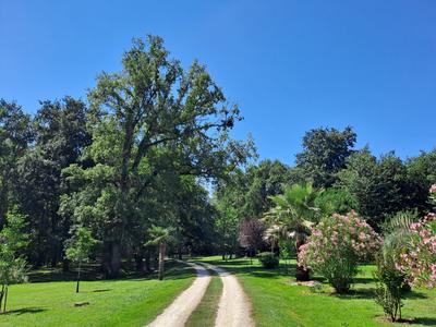 Maison - 520 m² - 18 pièces