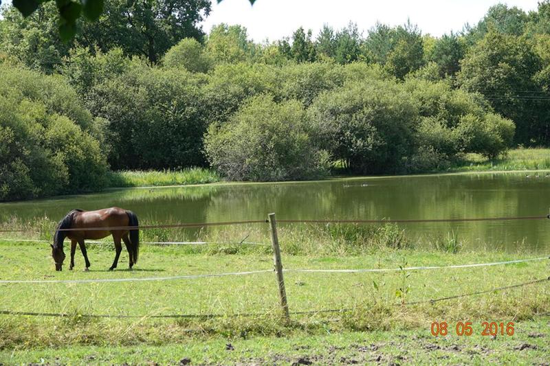 Terrain - 170 000 m²