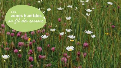 Jmzh : a la découverte des fleurs de la Vanne