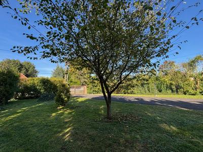 Maison traditionnelle - 185 m² - 10 pièces