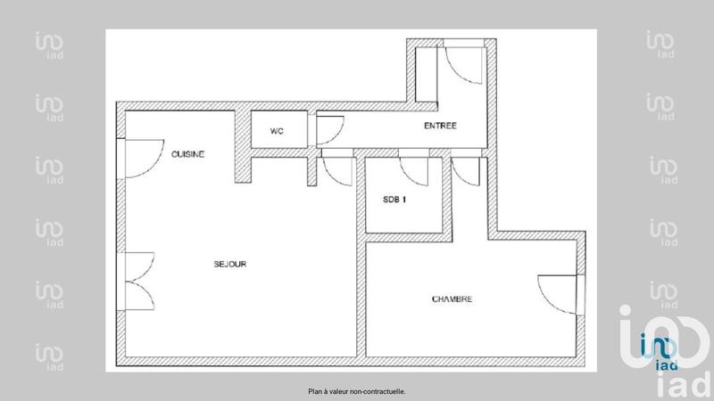 Appartement - 55 m² - 2 pièces