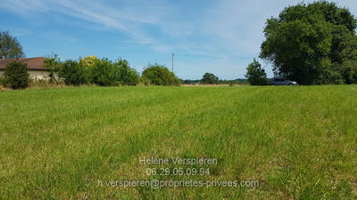 Terrain constructible - 3 931 m²