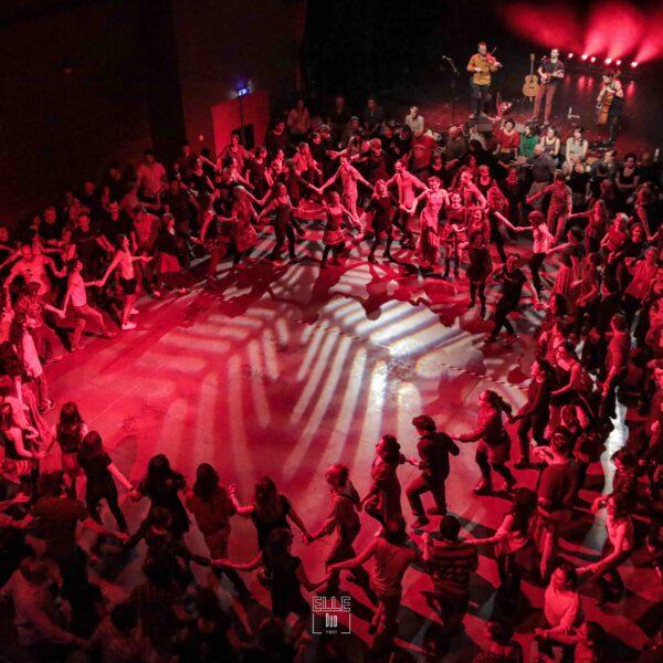 Le Bal d'Hiver, Découvrez la Prog'