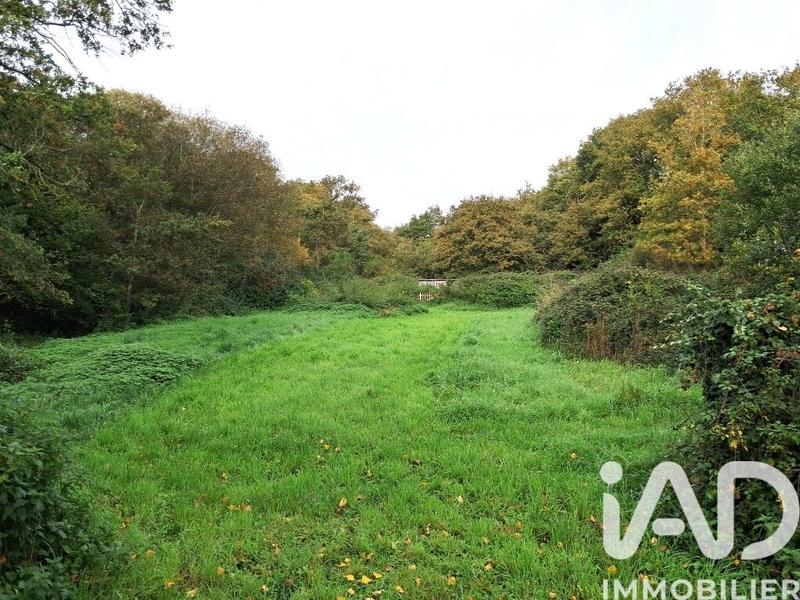 Maison - 117 m² - 5 pièces