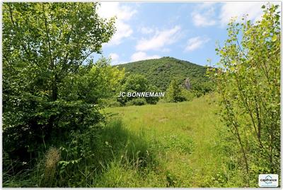 Terrain - 2 936 m²