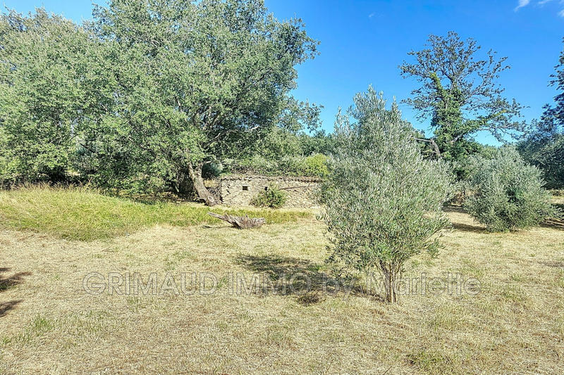 Maison - 205 m² - 10 pièces