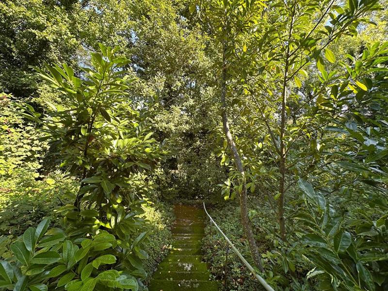 Maison - 170 m² - 7 pièces