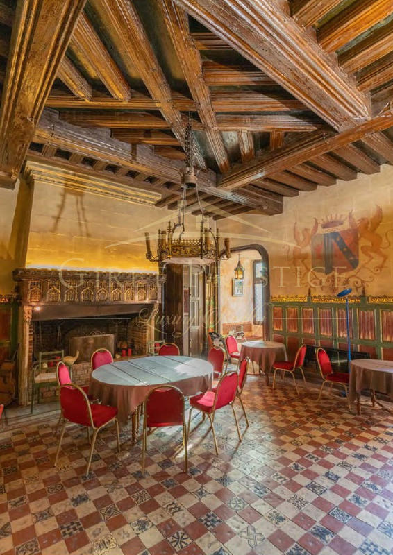 Château - 2 882 m² - 40 pièces