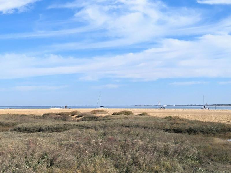 Appartement - 28 m² - 2 pièces