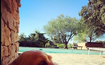 Villa - 320 m² - 12 pièces