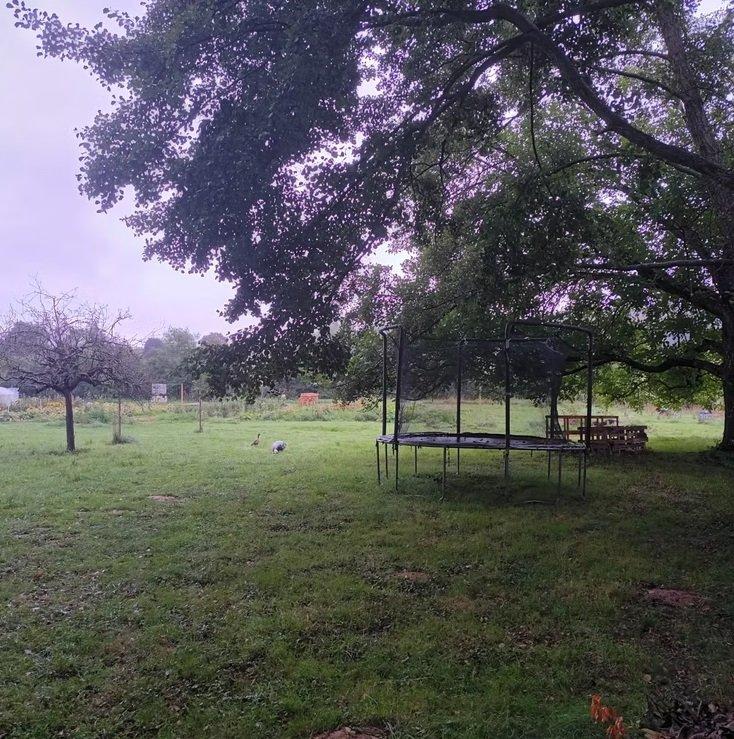 Terrain de loisirs - 200 m²