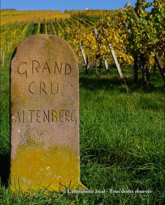 Visite sportive commentée "Vignoble" et dégustation - Offre été 2026