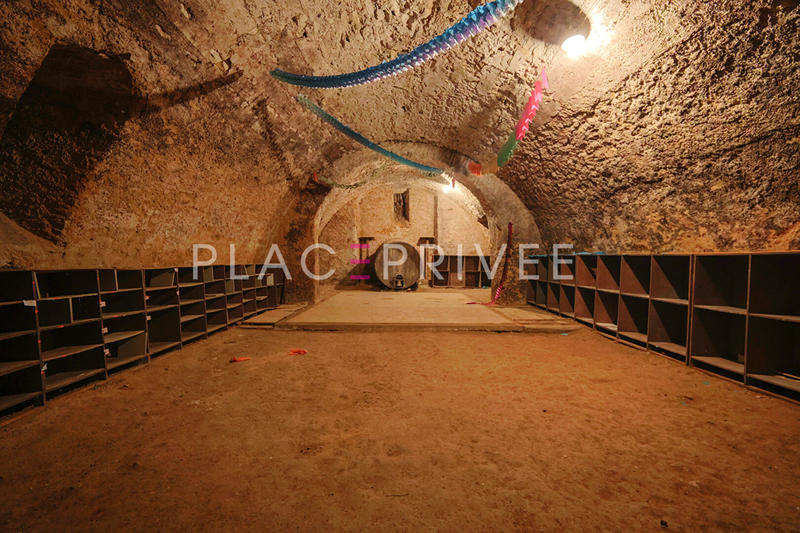 Demeure - 485 m² - 19 pièces