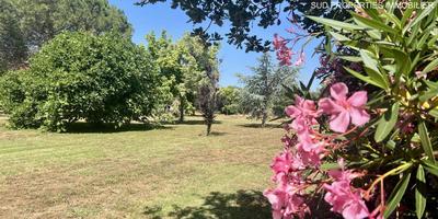 Propriété - 200 m² - 7 pièces