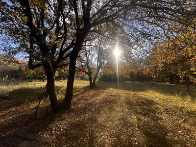 Terrain agricole - 7 580 m²