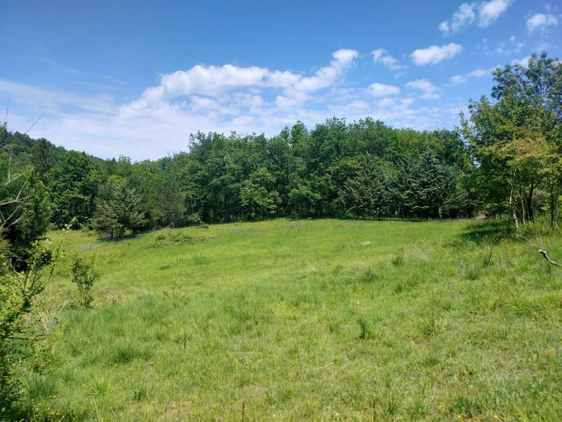 Propriété - 360 m² - 13 pièces