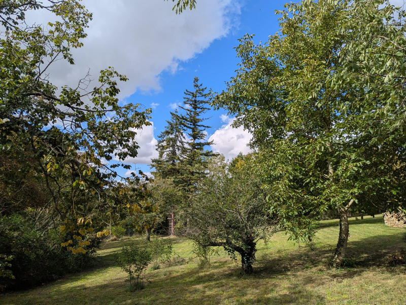 Maison - 113 m² - 4 pièces