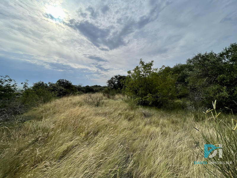 Terrain agricole - 7 310 m²