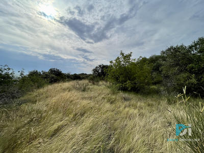 Terrain agricole - 7 310 m²