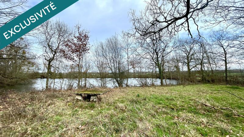 Terrain - 10 201 m²