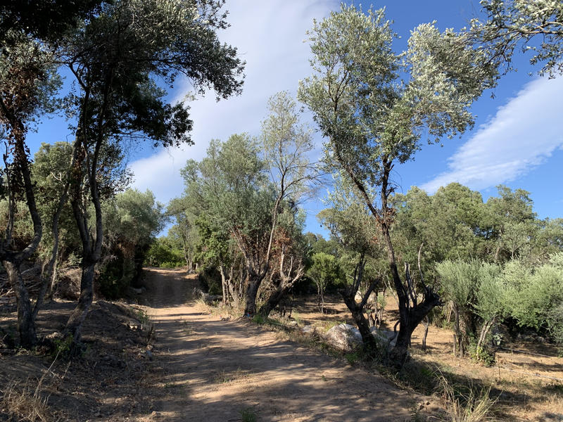 Villa - 85 m² - 4 pièces