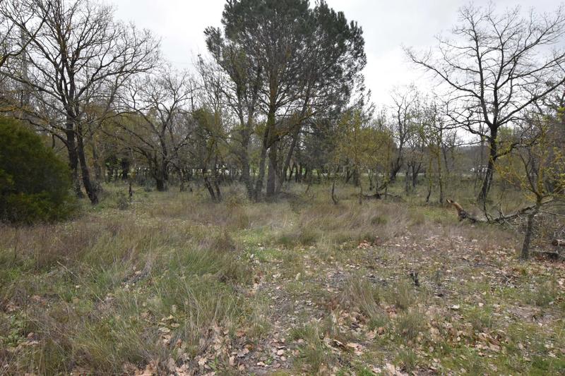 Terrain commercial - 3 719 m²