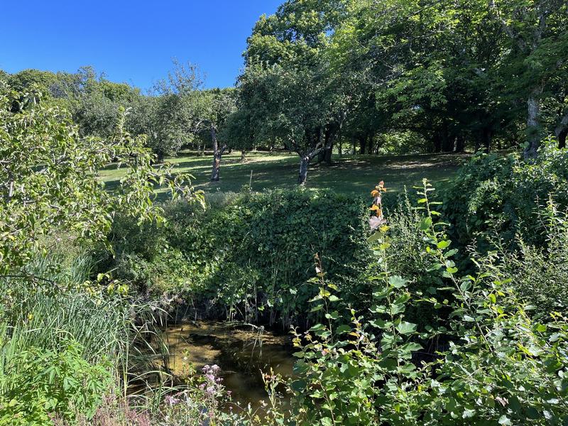 Maison de campagne - 110 m² - 4 pièces