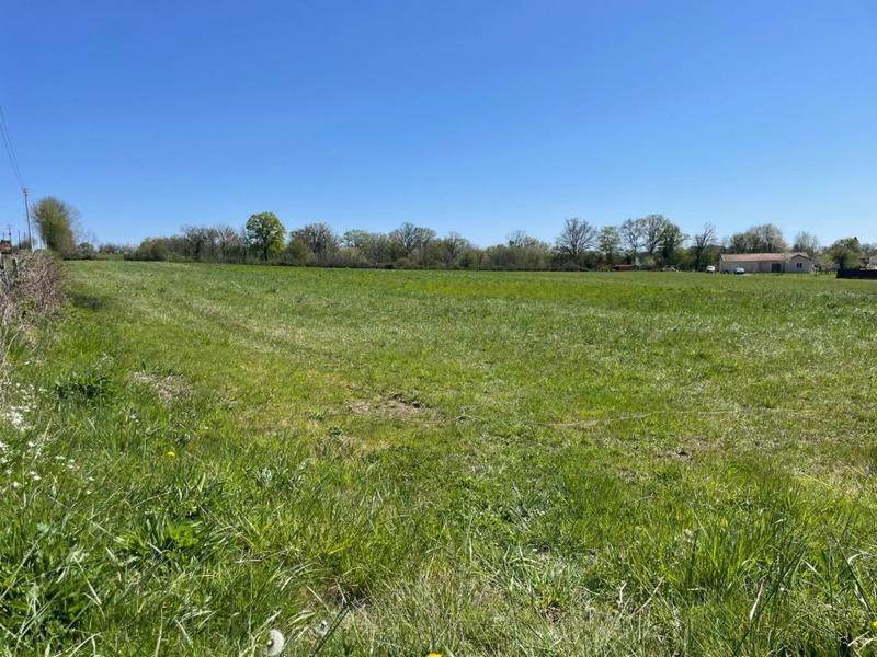 Terrain - 17 856 m²