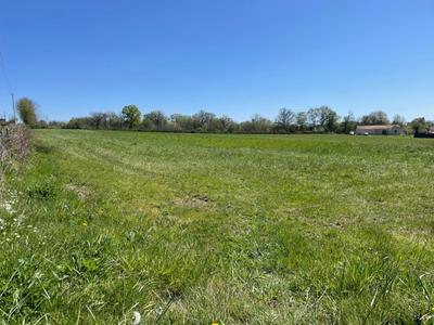 Terrain - 17 856 m²