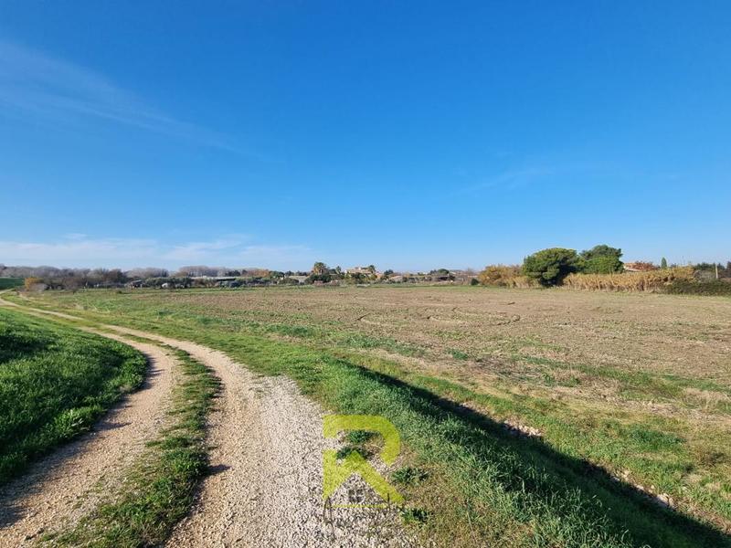 Mas - 294 m² - 8 pièces