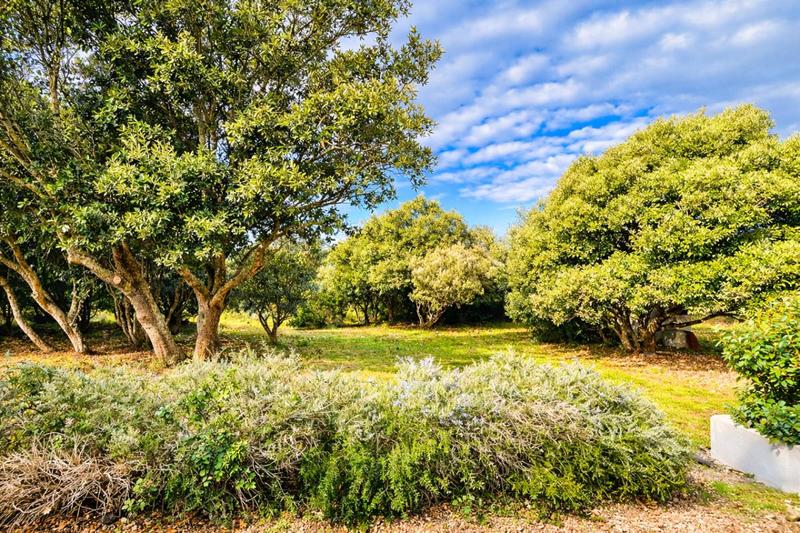 Maison - 304 m² - 12 pièces