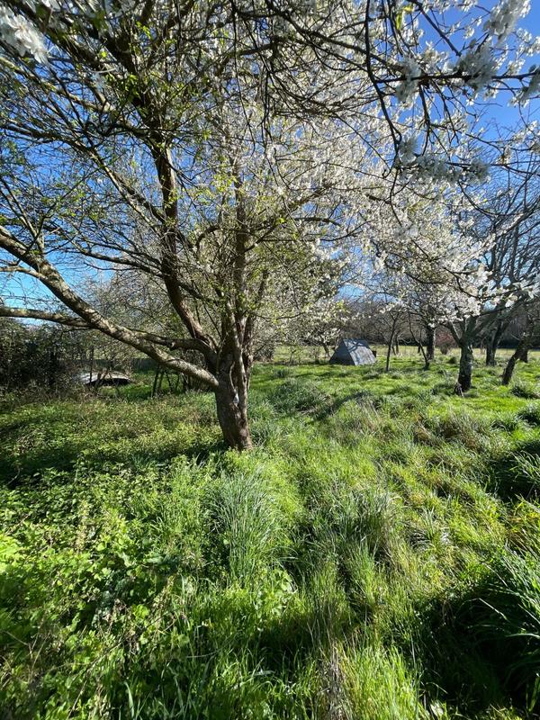 Maison - 150 m² - 1 pièce